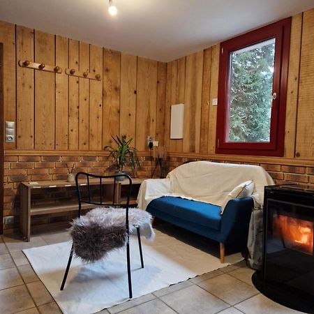 Chalet De La Foret 1 A 6 Pers Saint-Sauveur  Екстериор снимка
