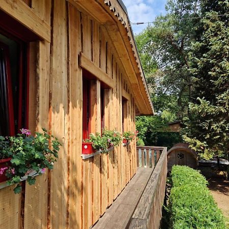 Chalet De La Foret 1 A 6 Pers Saint-Sauveur  Екстериор снимка
