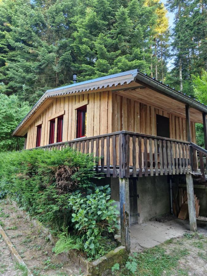 Chalet De La Foret 1 A 6 Pers Saint-Sauveur  Екстериор снимка