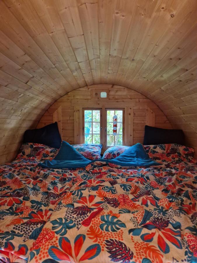 Chalet De La Foret 1 A 6 Pers Saint-Sauveur  Екстериор снимка